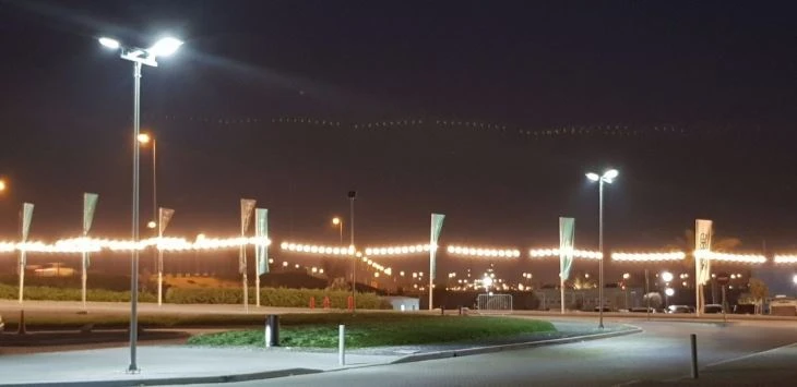 Solar Street Light suppliers