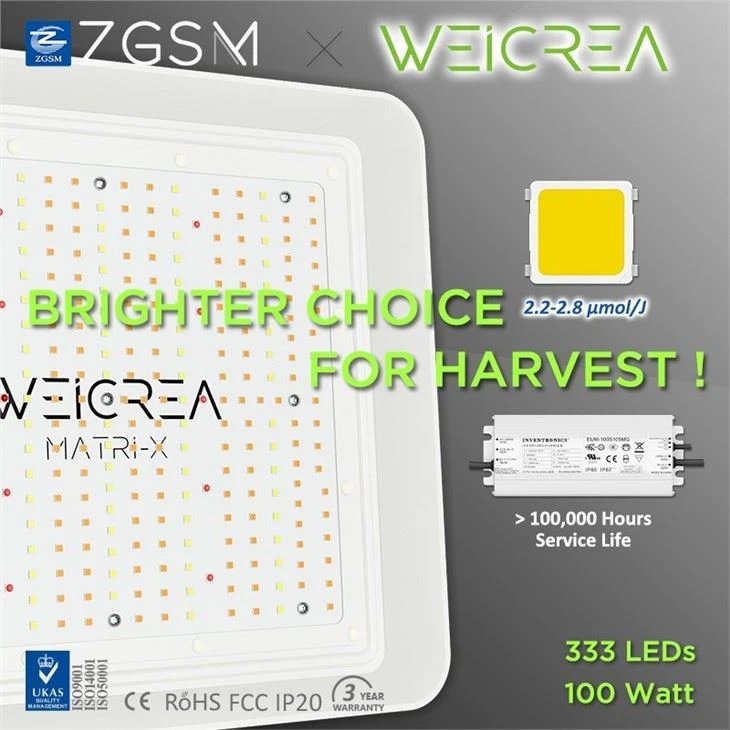 buy Grow Lights